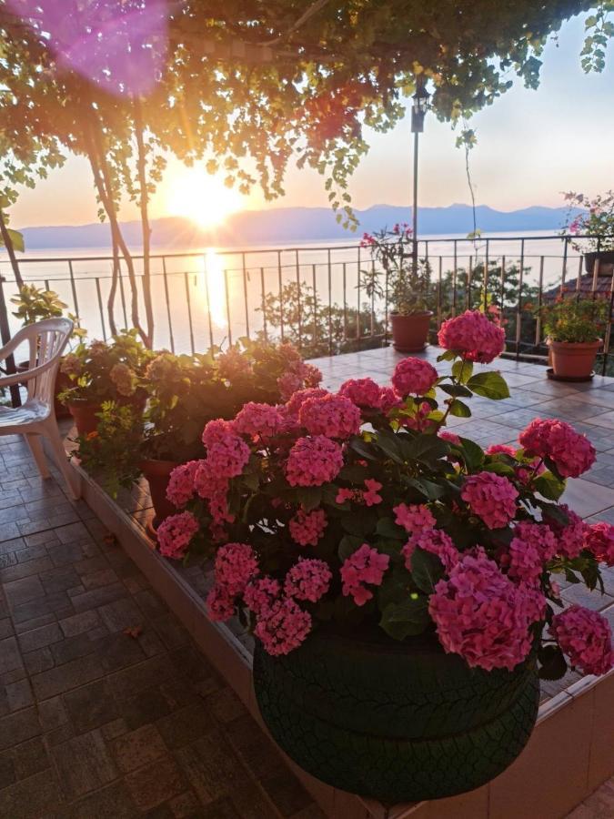 Sonce Guest House Охрид Екстериор снимка