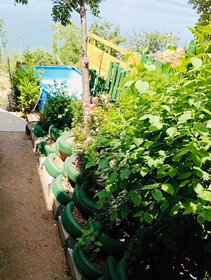 Sonce Guest House Охрид Екстериор снимка