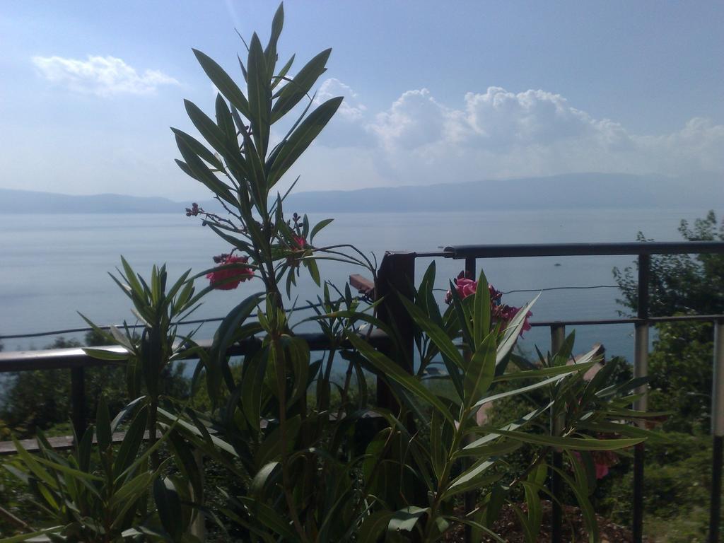 Sonce Guest House Охрид Екстериор снимка